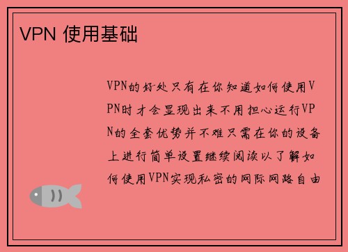 VPN 使用基础